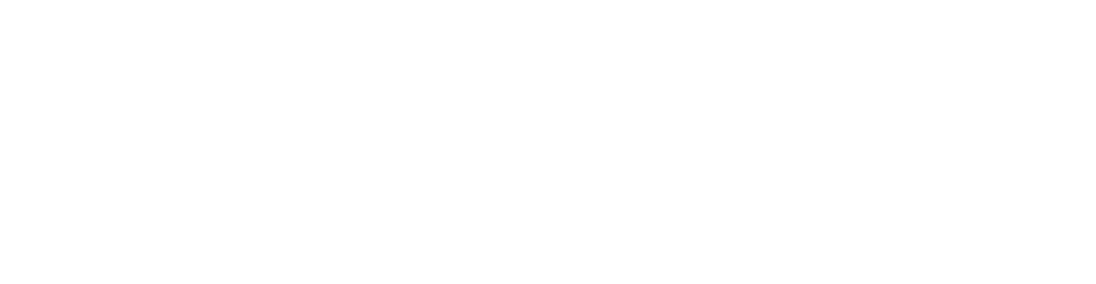 ISPBrain