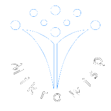 Mikrowisp