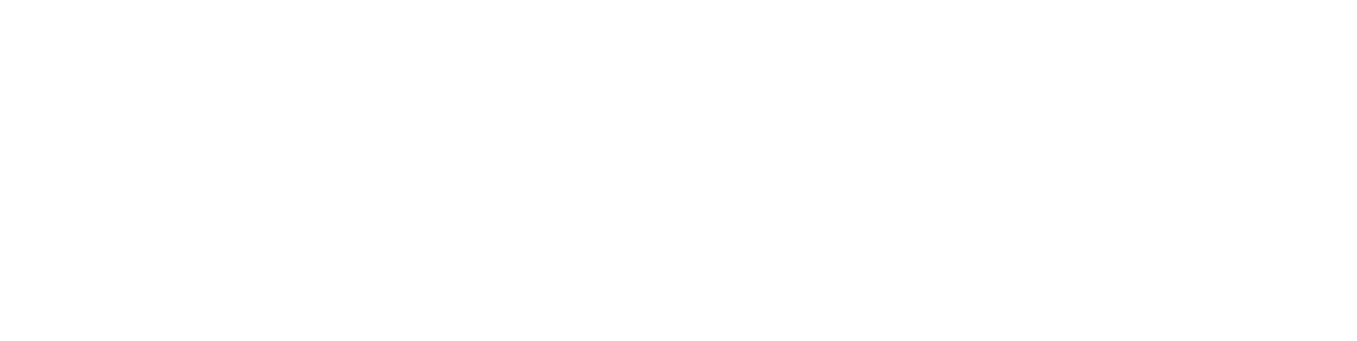 SmartOLT